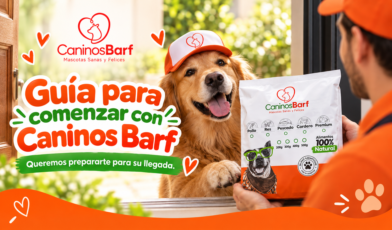 Guía para comenzar con Caninos BARF