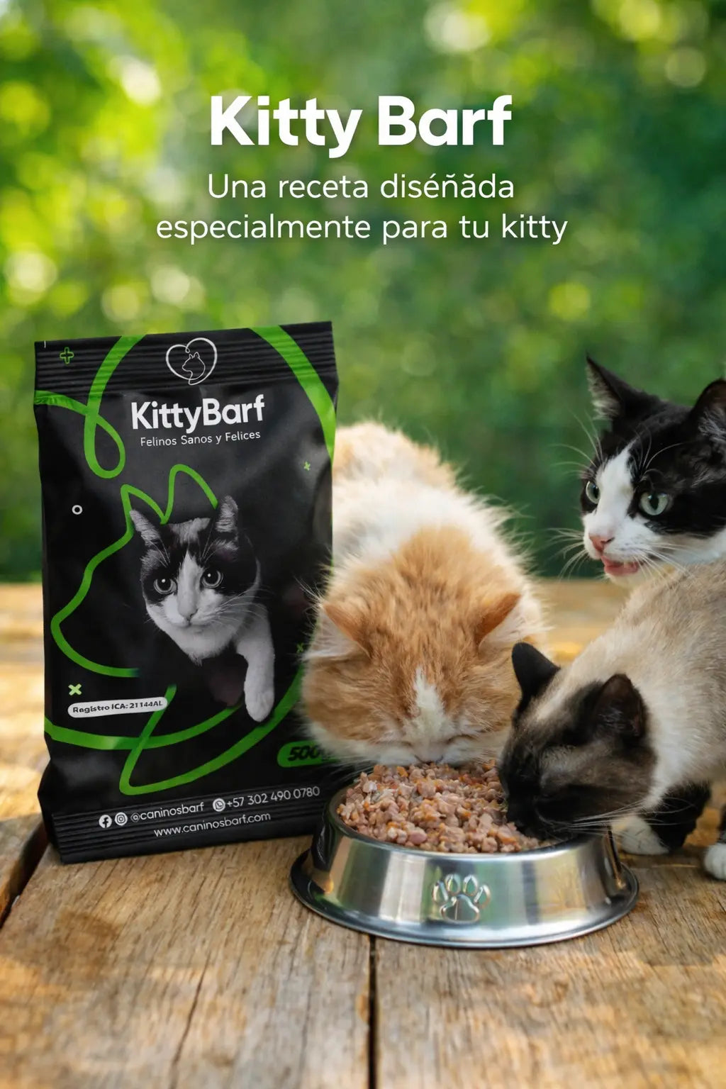 Dieta para gatos de res