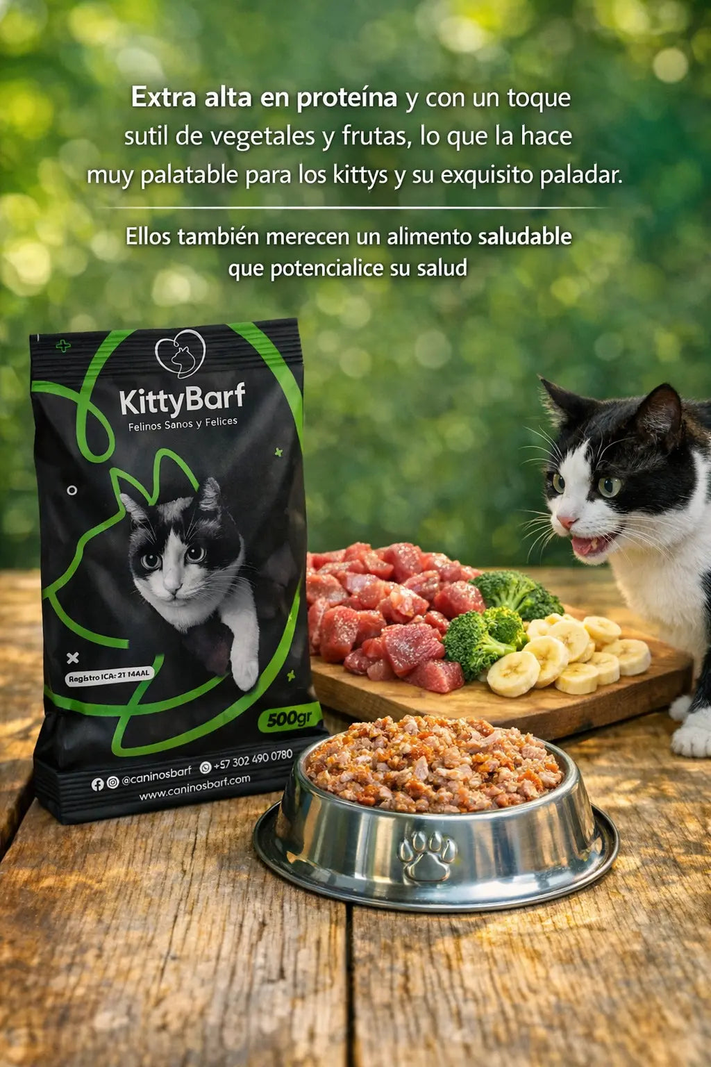 Galería dieta para gatos de res