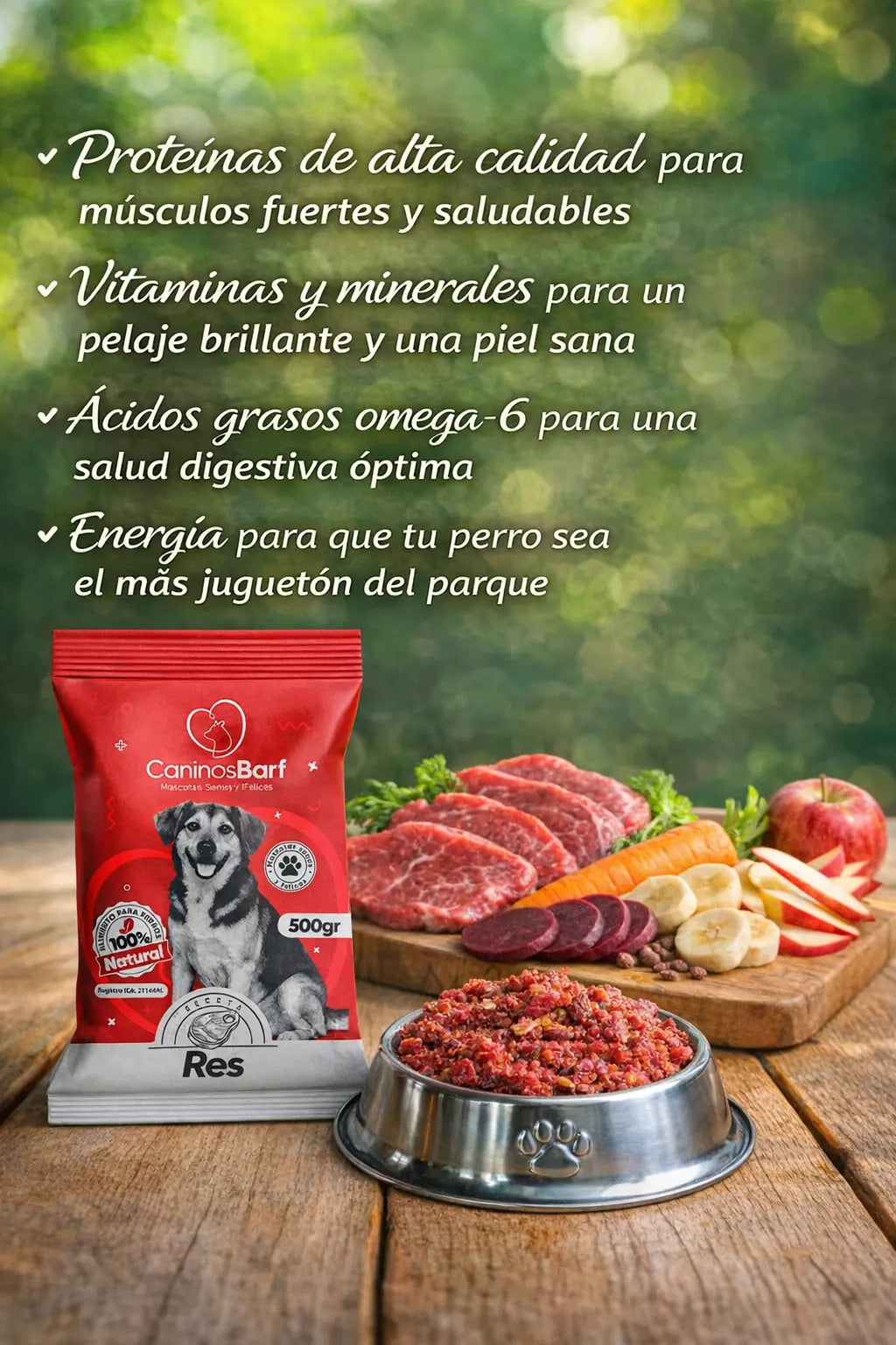 Galería receta para perros de res