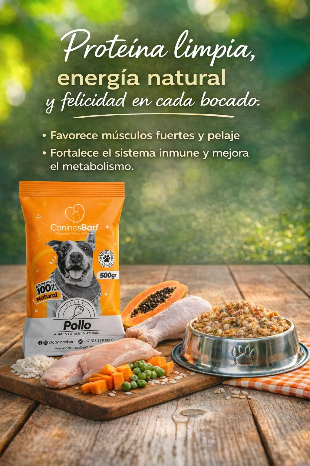 Galería receta pollo