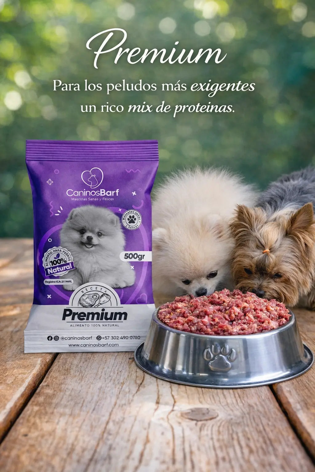 Galería receta premium
