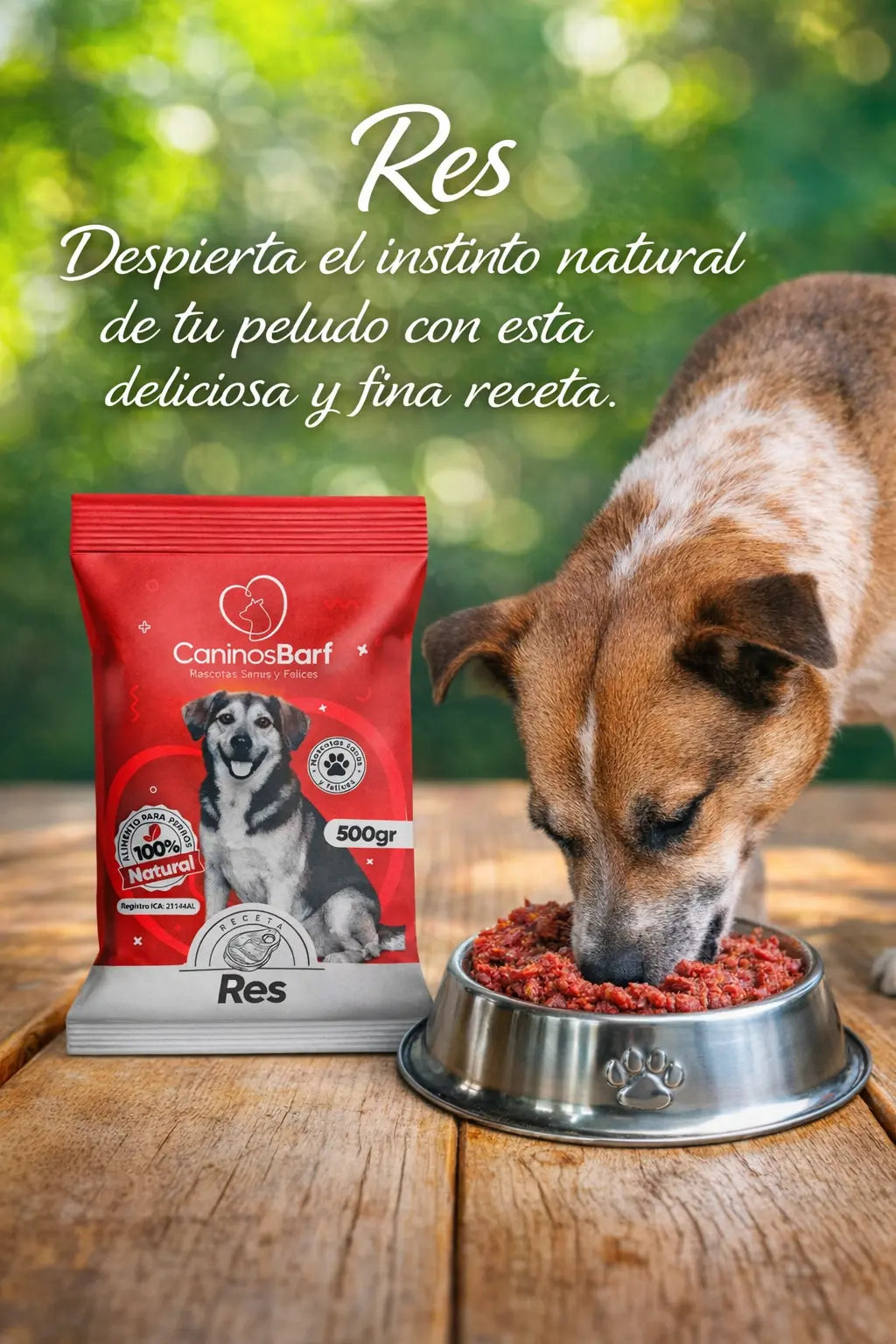 Receta para perros de res