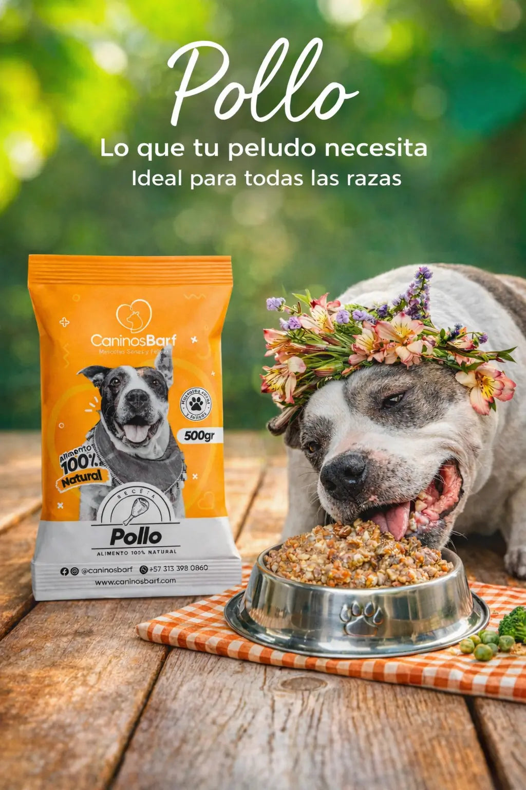 Receta pollo